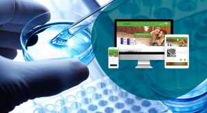 طراحی سایت حرفه ای باید چه ویژگی هایی داشته باشد